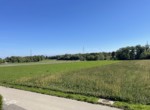 IMG_3537